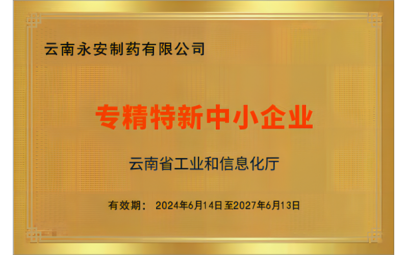 專精特新中小企業(yè)（2024年）